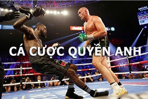 Luật chơi cá cược Boxing.